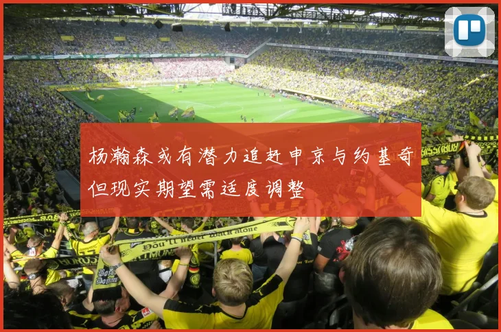 杨瀚森或有潜力追赶申京与约基奇但现实期望需适度调整